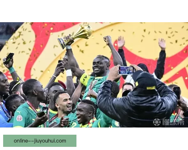 尼日利亚非洲杯决赛先领先一球被科特迪瓦逆转痛失冠军